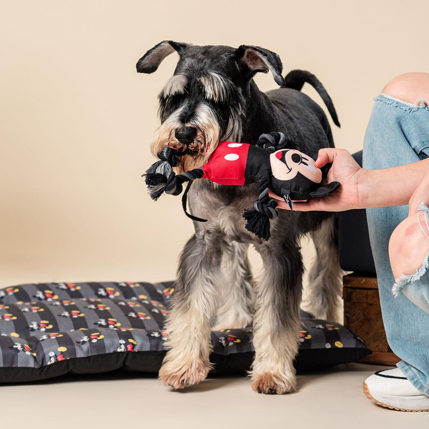 Mickey Mouse Dog Toy