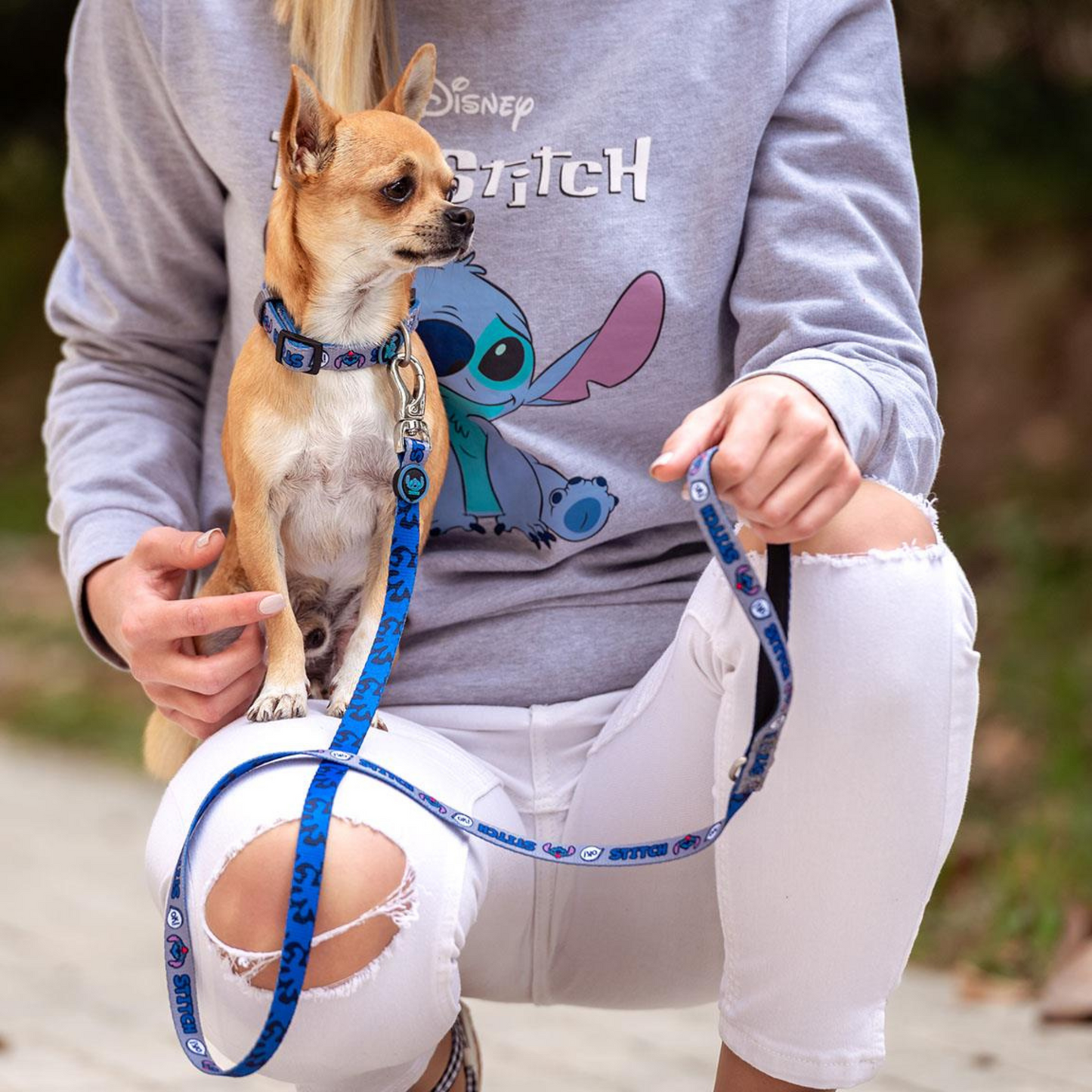 Stitch Dog Collar