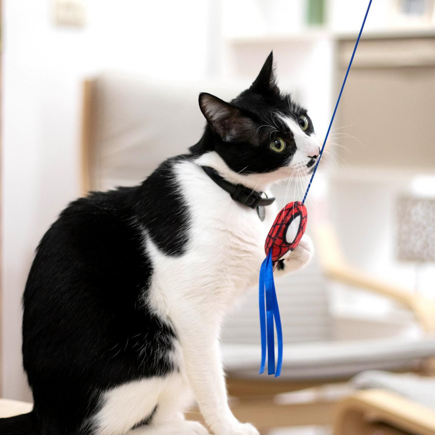Spider-Man Cat Wand Toy
