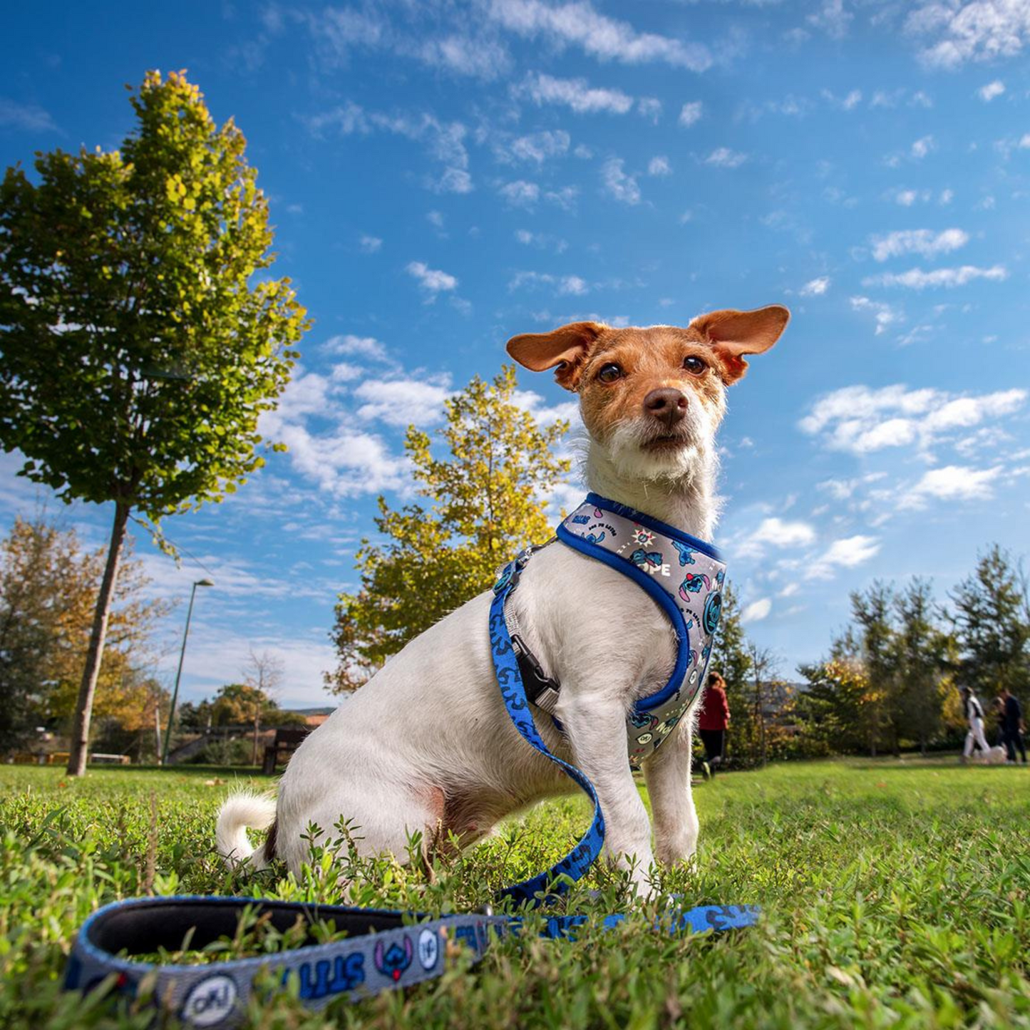 Stitch Reversible Dog Harness