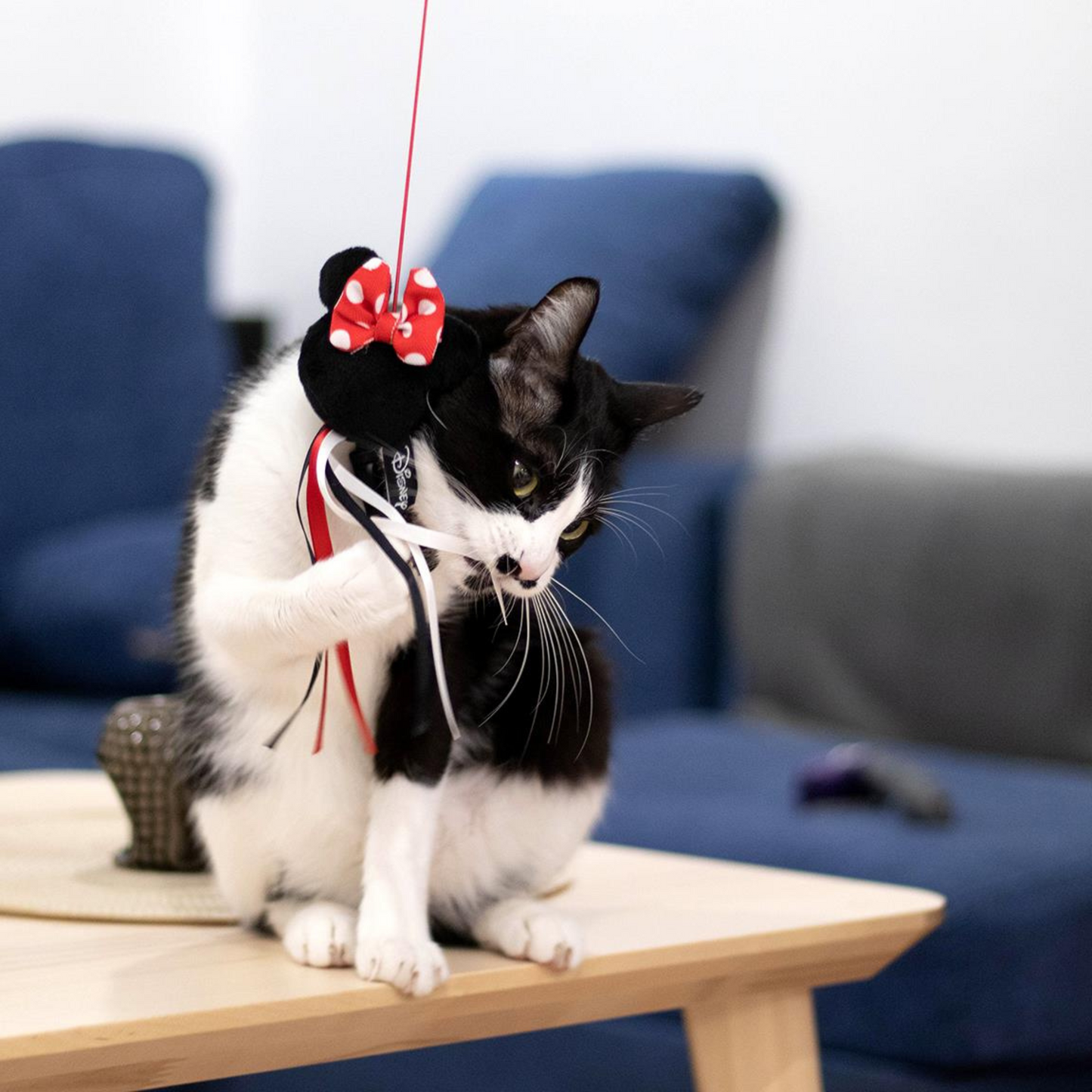 Minnie Mouse Cat Wand Toy