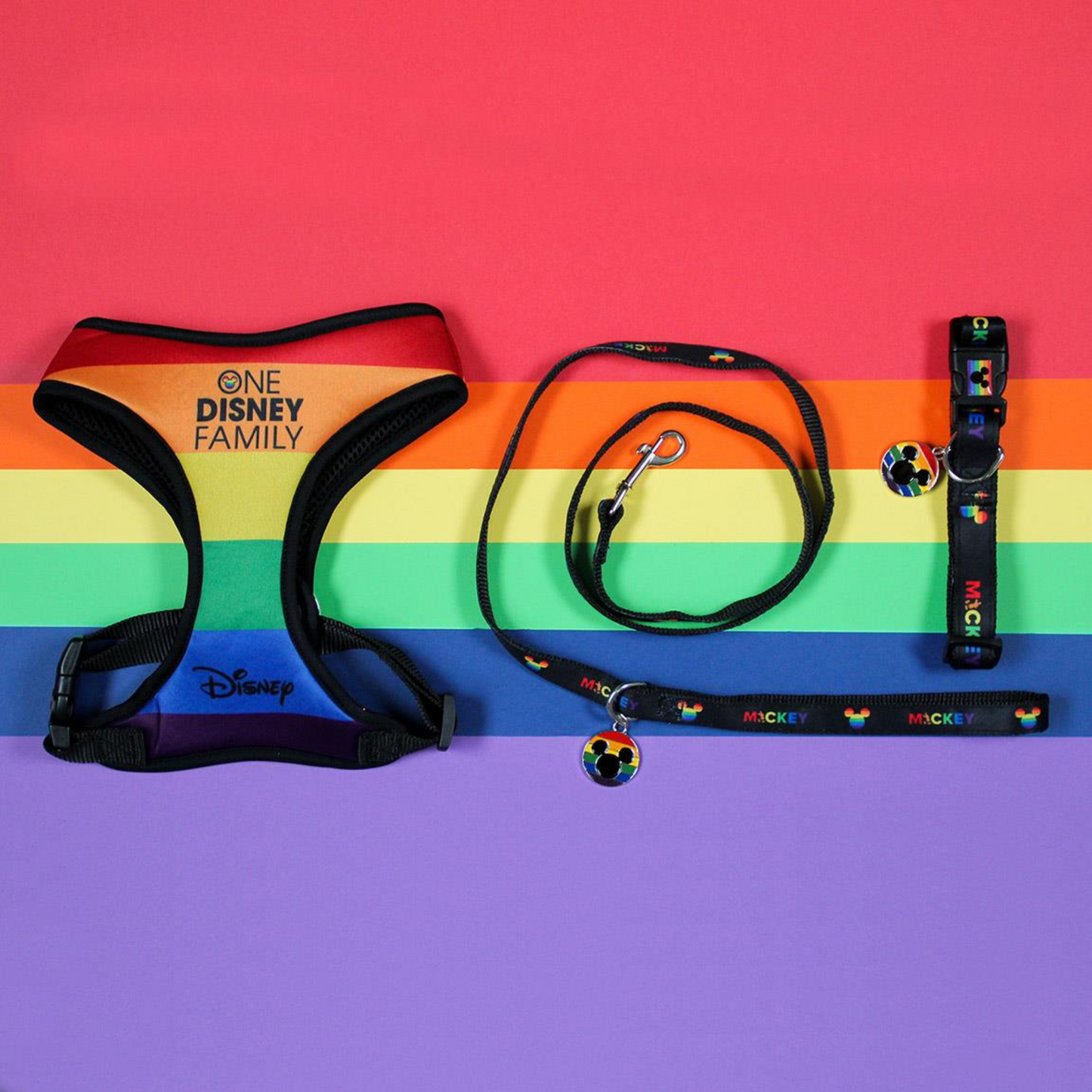 Disney Rainbow Dog Harness