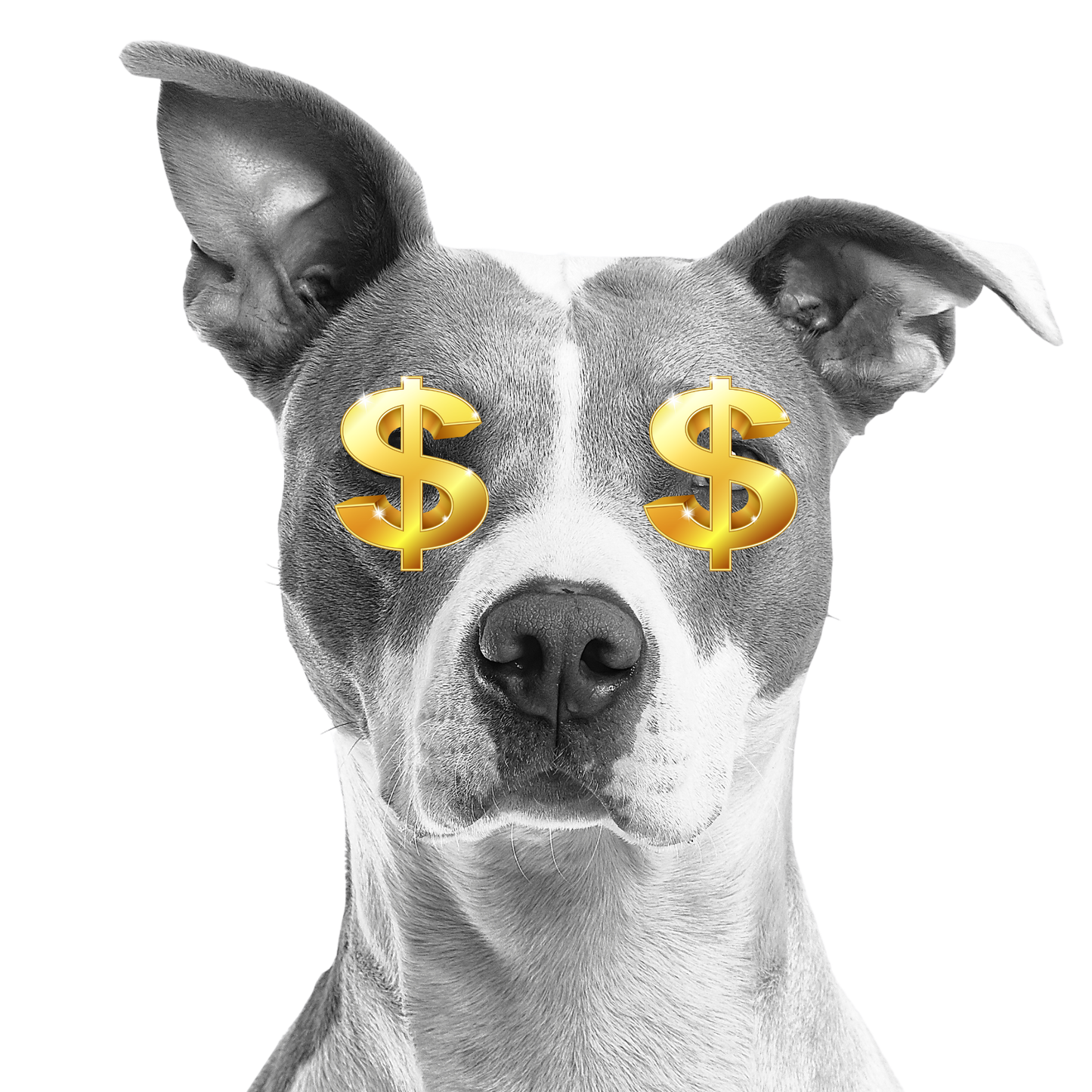 MUTHAPUPPA PUP BUCKS