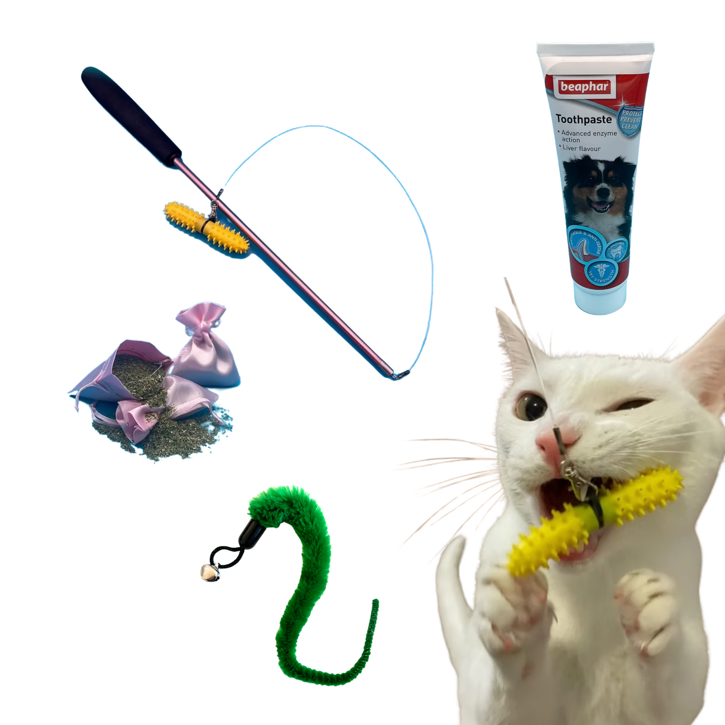 The Inventor Cat Dental Wand Starter Kit, For Cats!