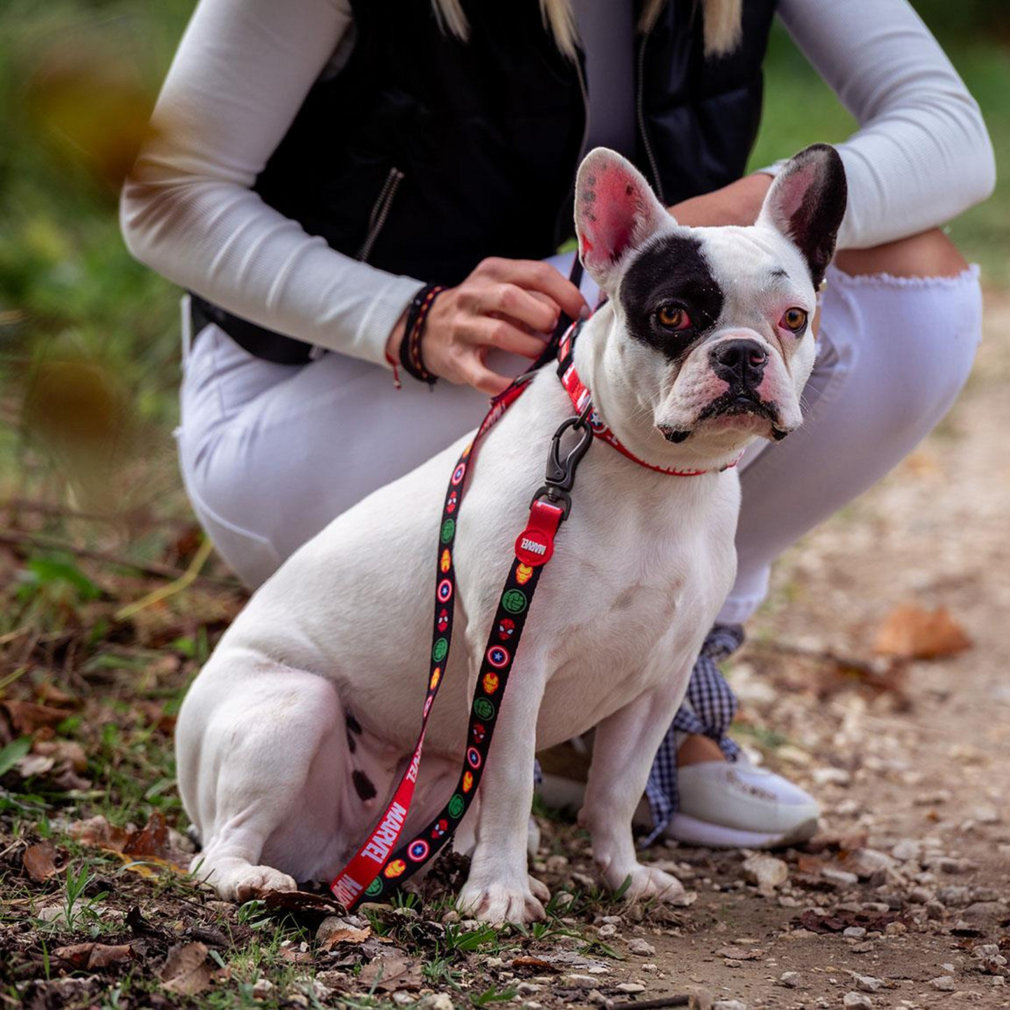 Marvel Avengers Dog Lead