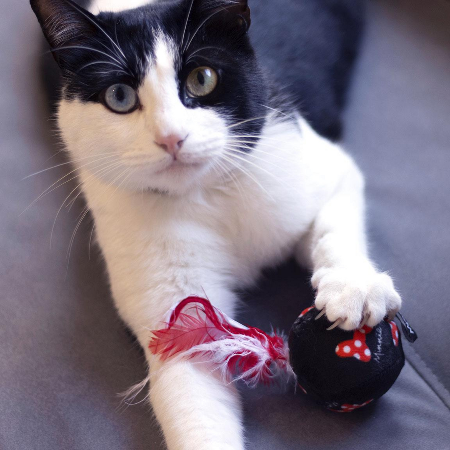 Minnie Mouse Cat Toys