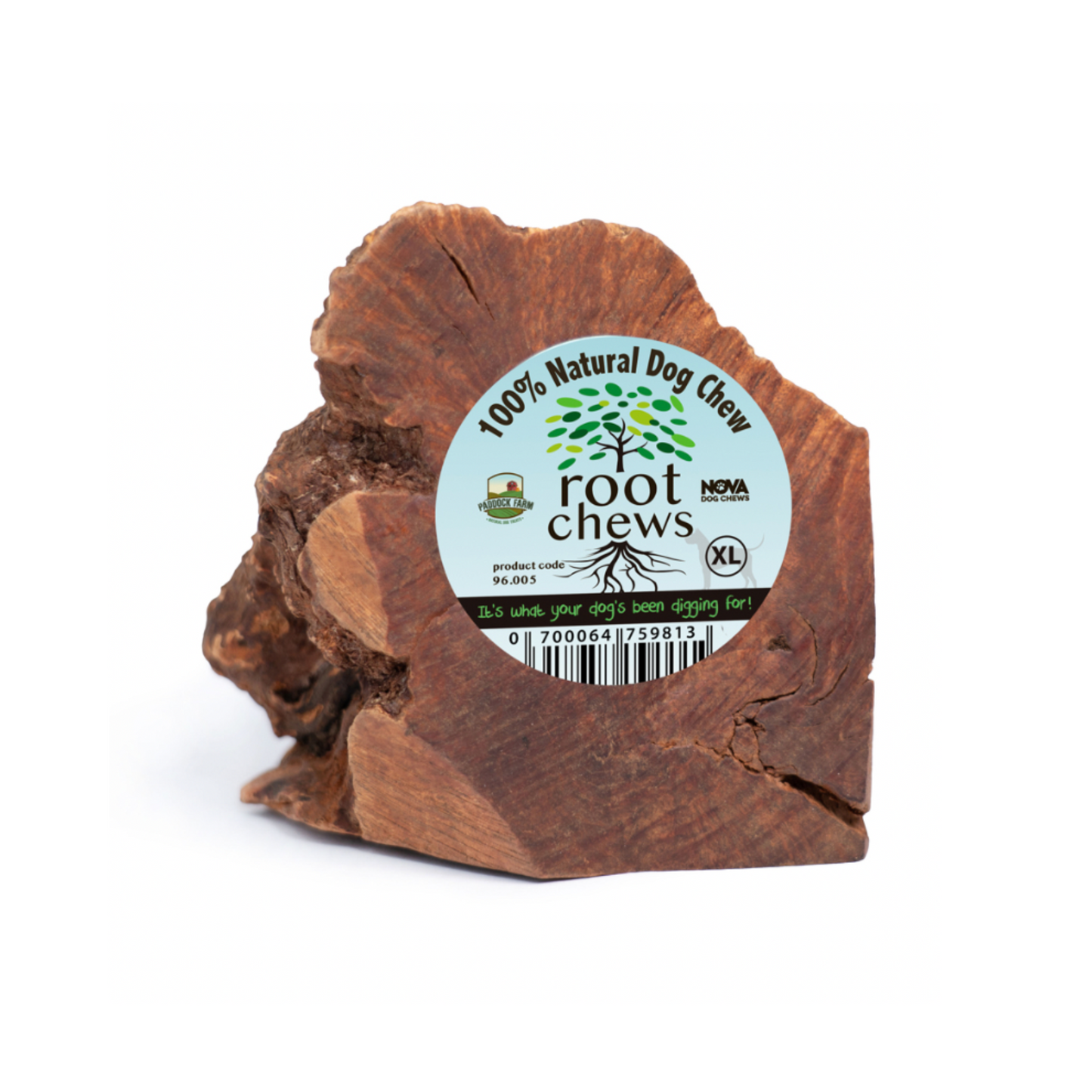 Nova Briar Root Natural Dog Chews Made From Briar Trees & Splinter Free