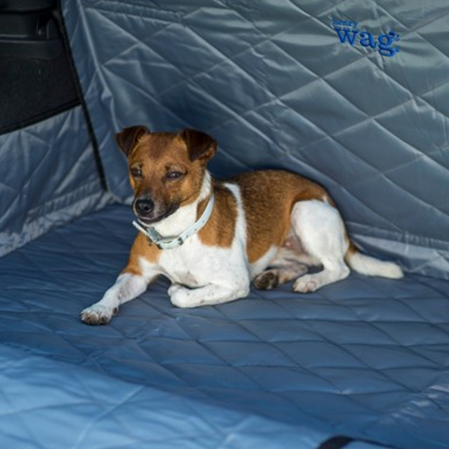 Henry Wag Car Boot & Bumper Protector for Hatchback Vehicles