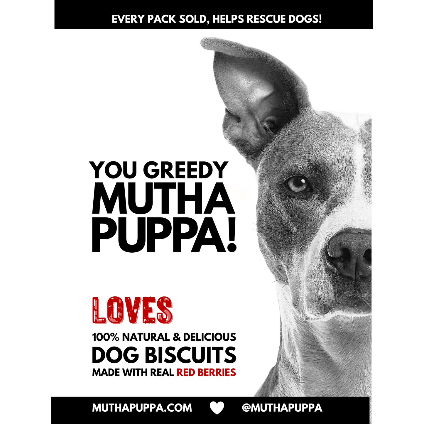 muthapuppa LOVES, 100% Natural & Delicious Dog Biscuits, Made With Real Red Berries, 300g