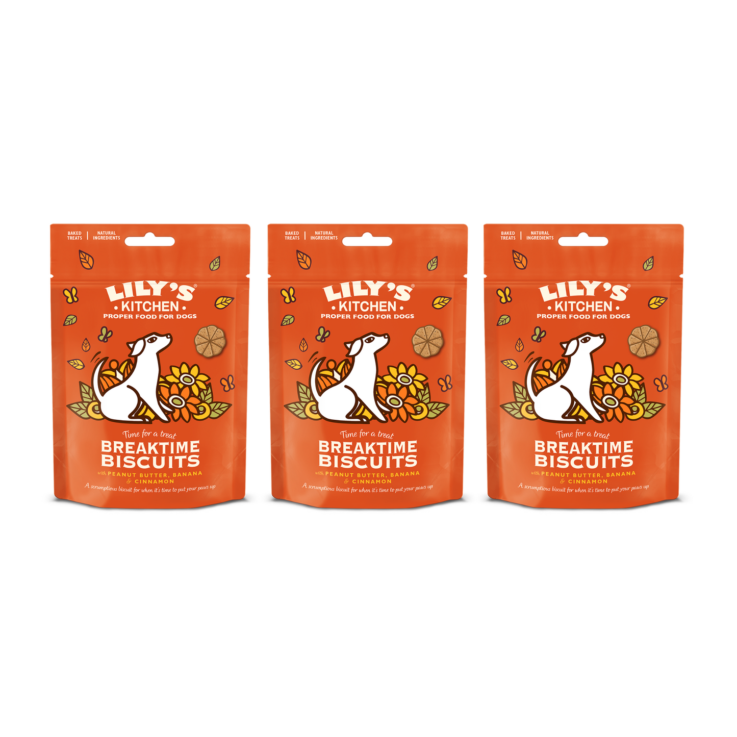 Lilys Kitchen Breaktime Biscuits for Dogs 80g