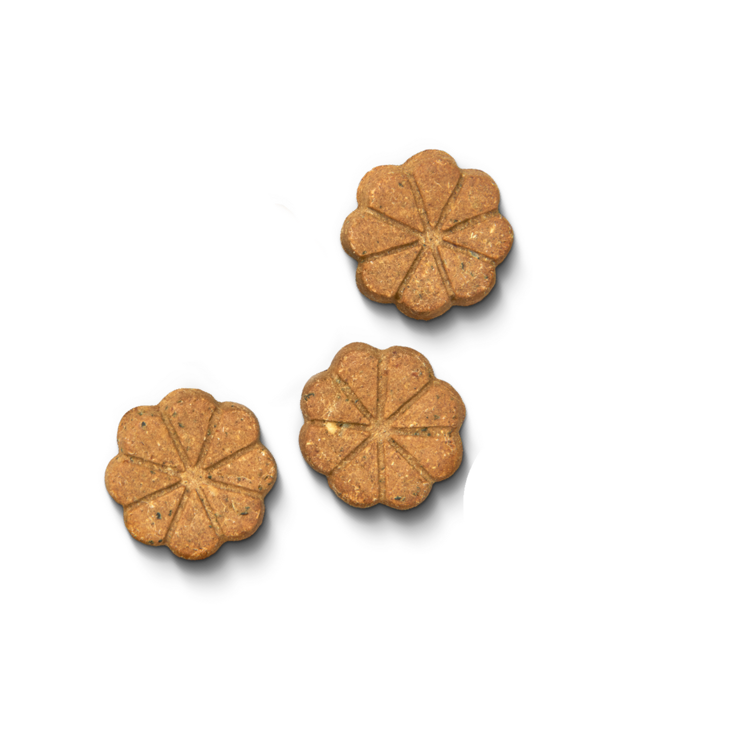 Lilys Kitchen Breaktime Biscuits for Dogs 80g