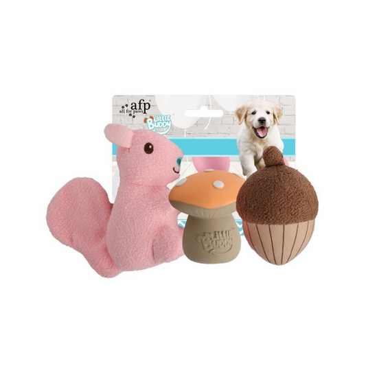 All For Paws Little Buddy Forest 3pk Toy