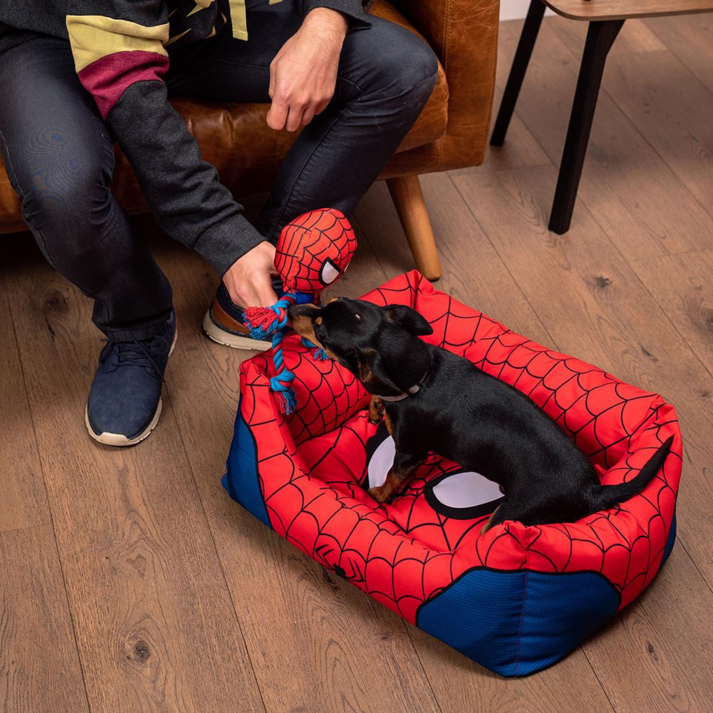 Spider-Man Dog Bed