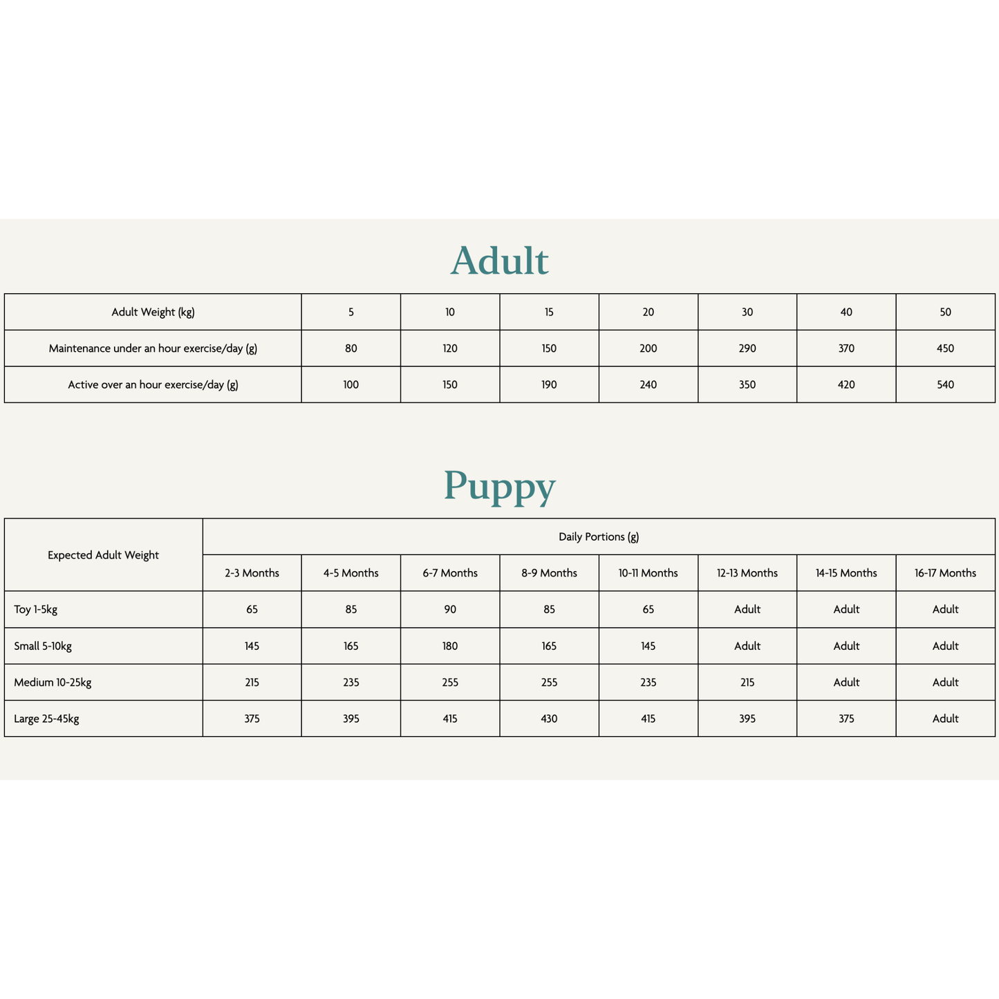 Canagan Scottish Salmon Food For Dogs