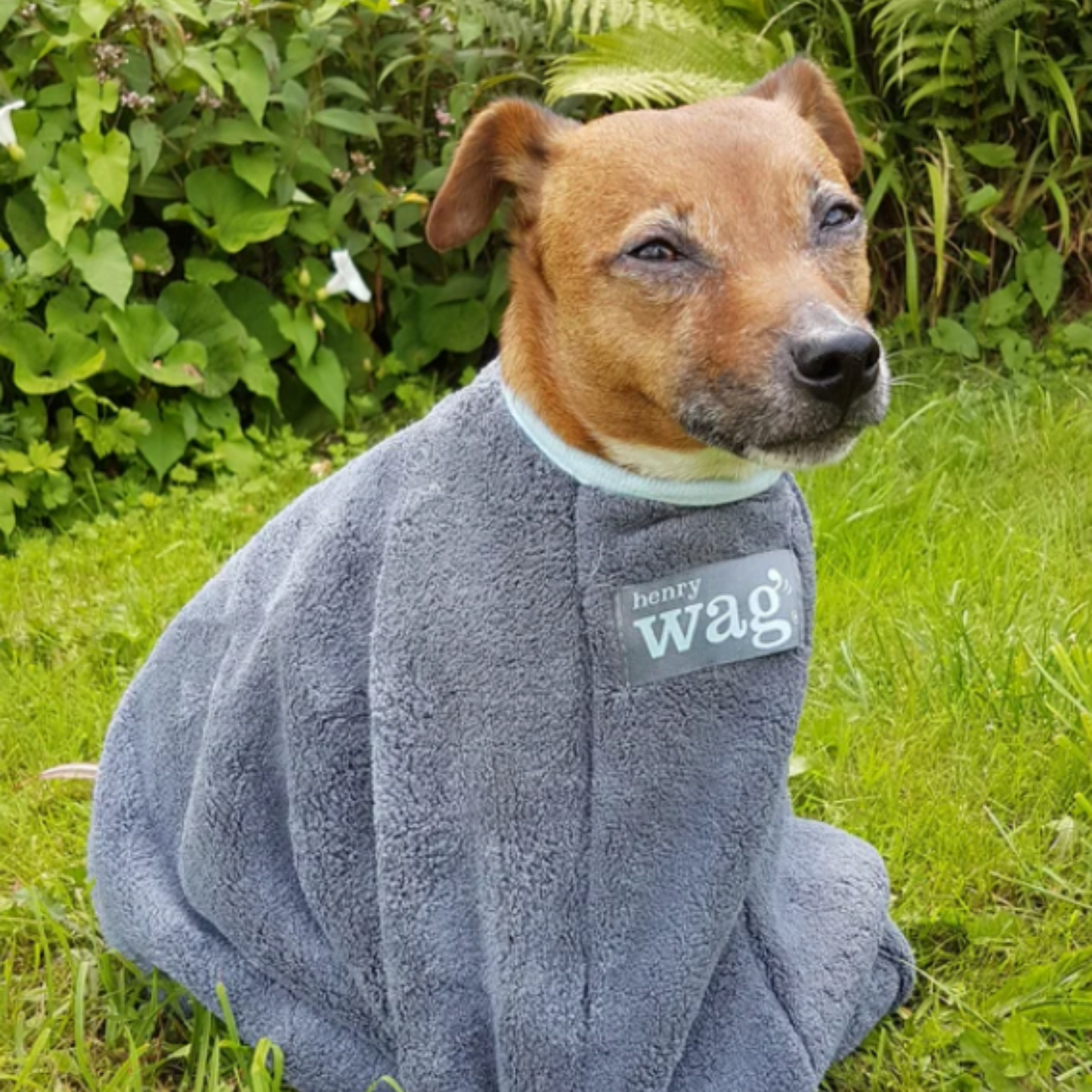 Henry Wag Microfibre Dog Drying Bag, Available in Small, Medium & Large