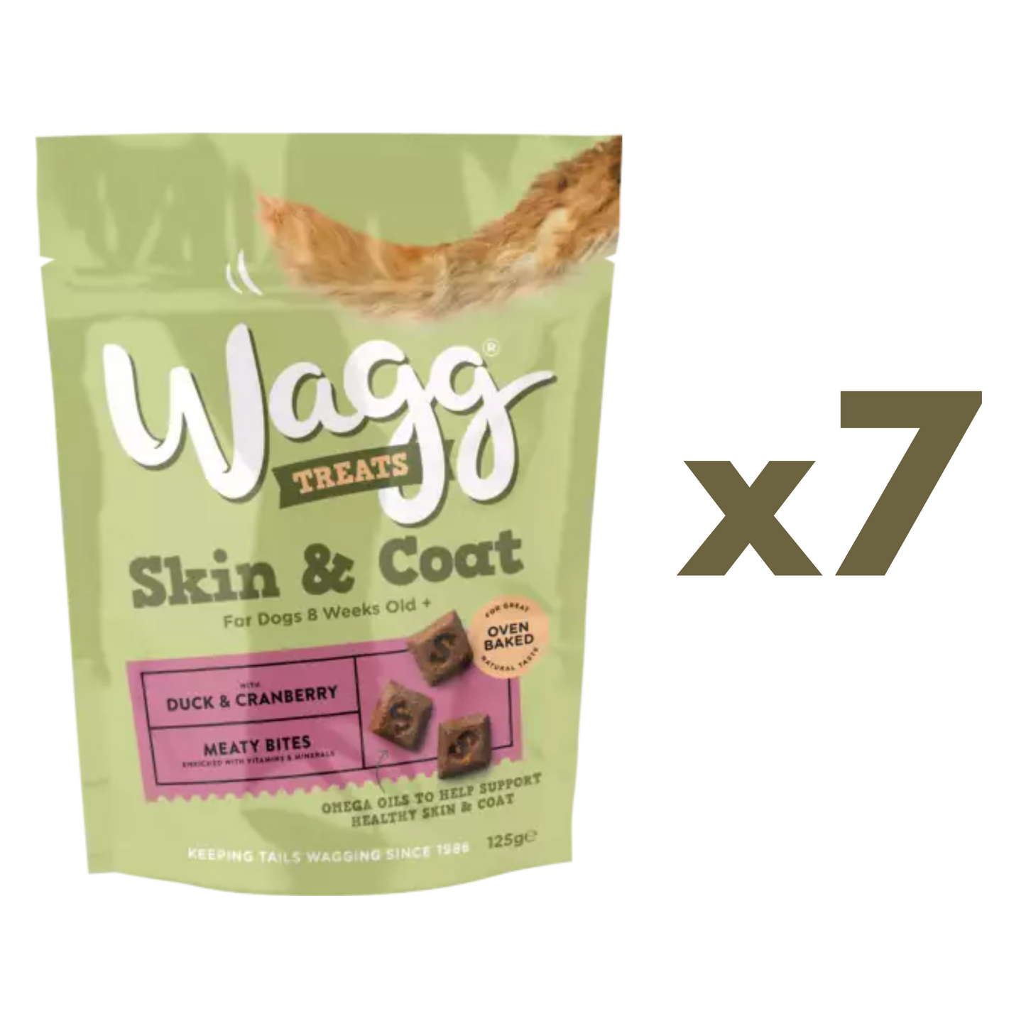 Wagg Skin & Coat Dog Treats With Duck & Cranberry, Omega 3 & 6 Oils For Healthy Skin & Glossy Coat Meaty Bites 125g