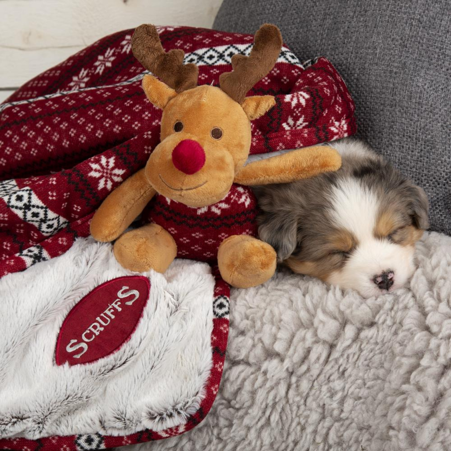 Scruffs Santa Paws Dog Blanket & Reindeer Toy Gift Set Red & Grey