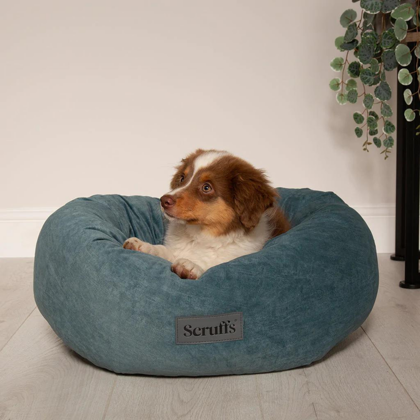Scruffs Oslo Ring Donut Dog Bed Fully Machine Washable Teal Medium, Large, X Large