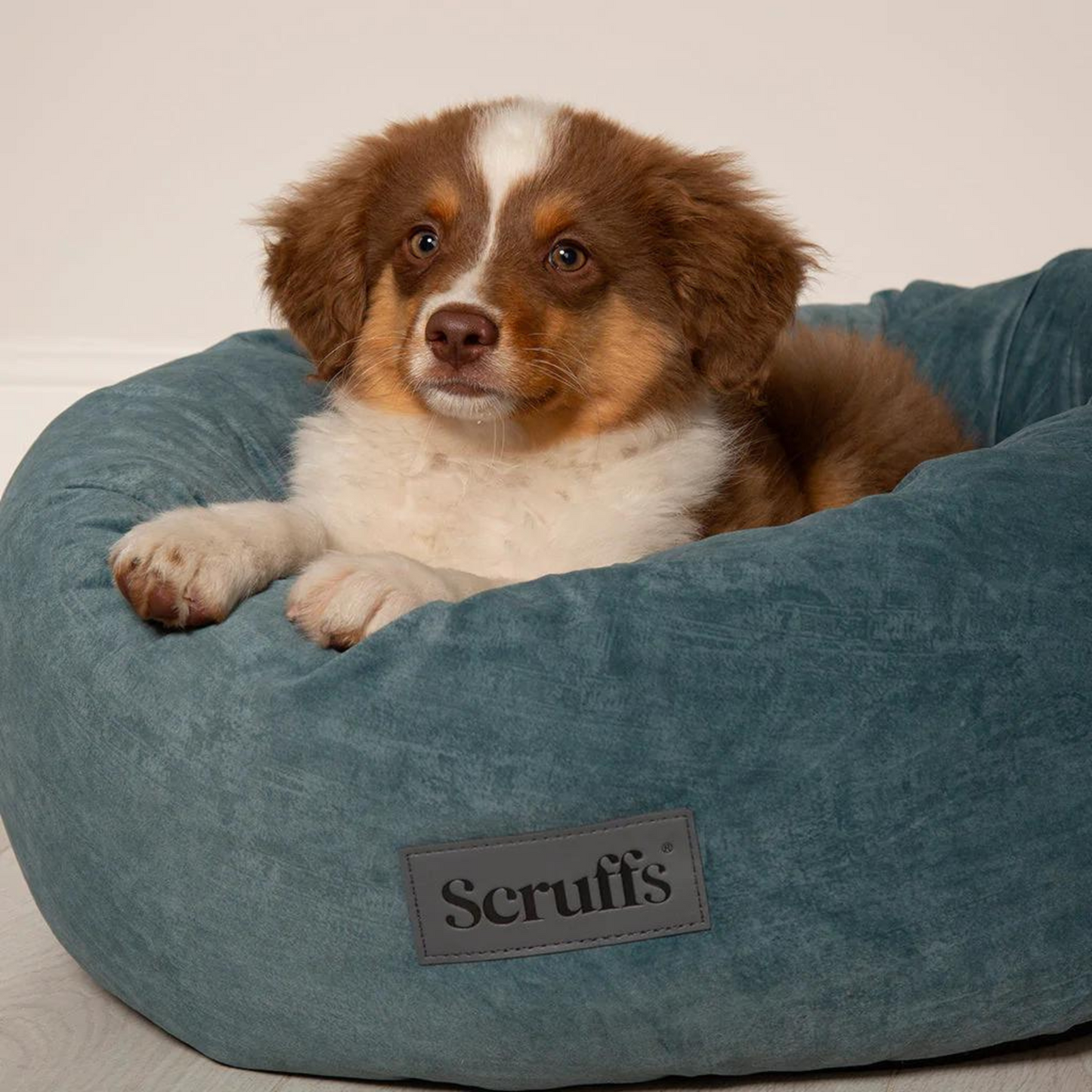 Scruffs Oslo Ring Donut Dog Bed Fully Machine Washable Teal Medium, Large, X Large