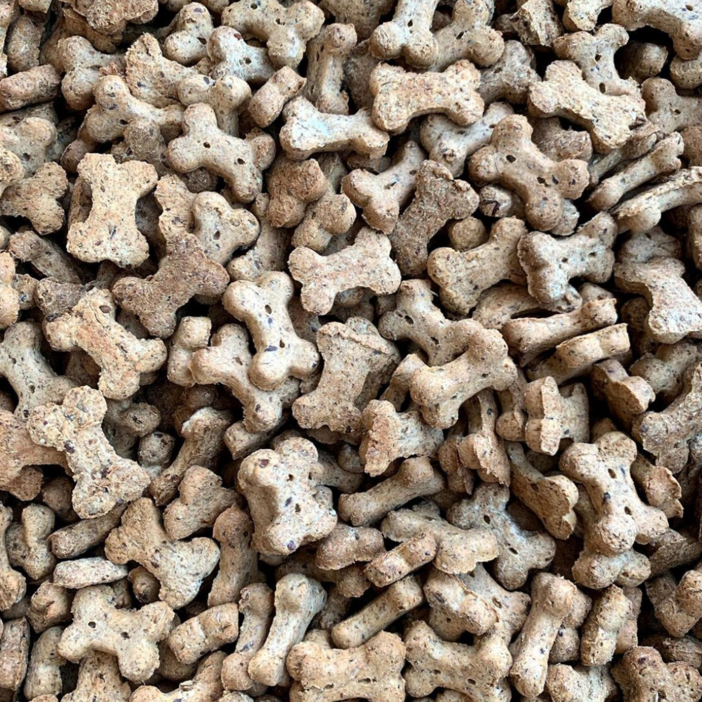 Brewbix Dog Treats Natural Biscuits 100g