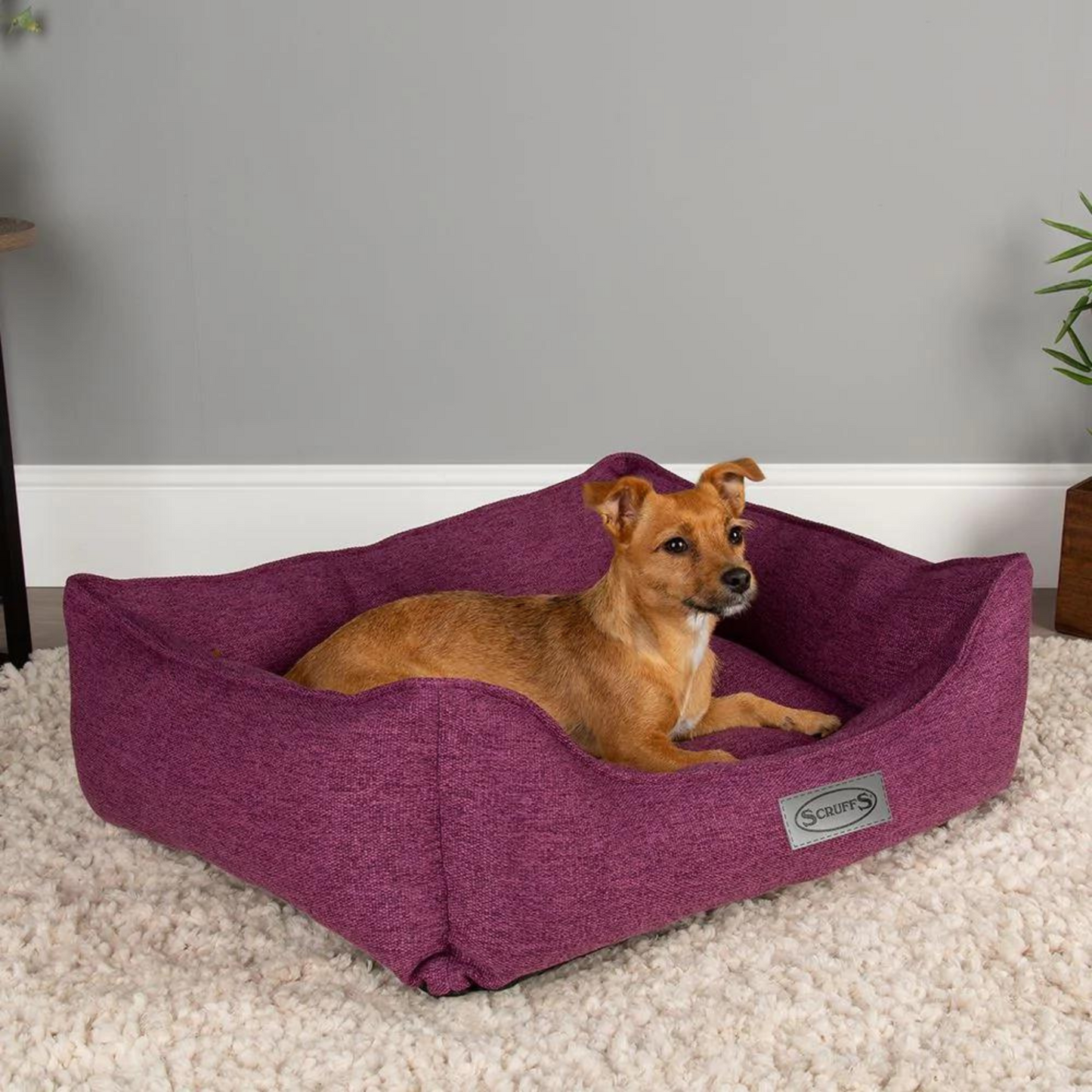 Scruffs Manhattan Box Dog Bed Fully Machine Washable Berry Purple Small & Medium