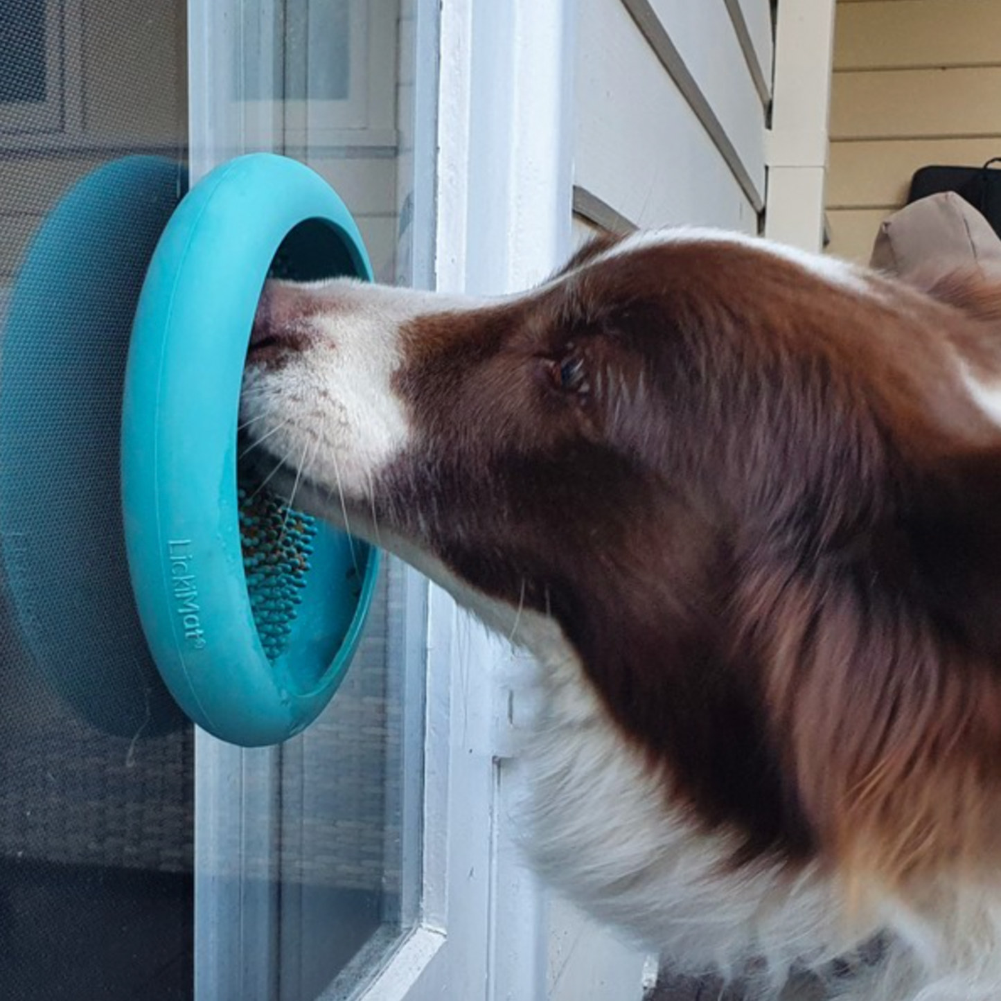 LickiMat UFO Slow Feeder Food Bowl With Suction Cups