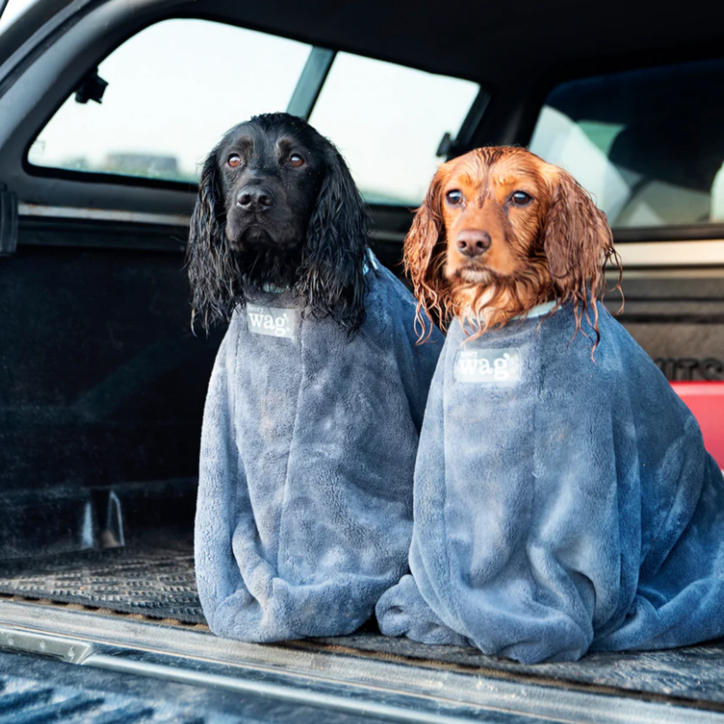 Henry Wag Microfibre Dog Drying Bag, Available in Small, Medium & Large