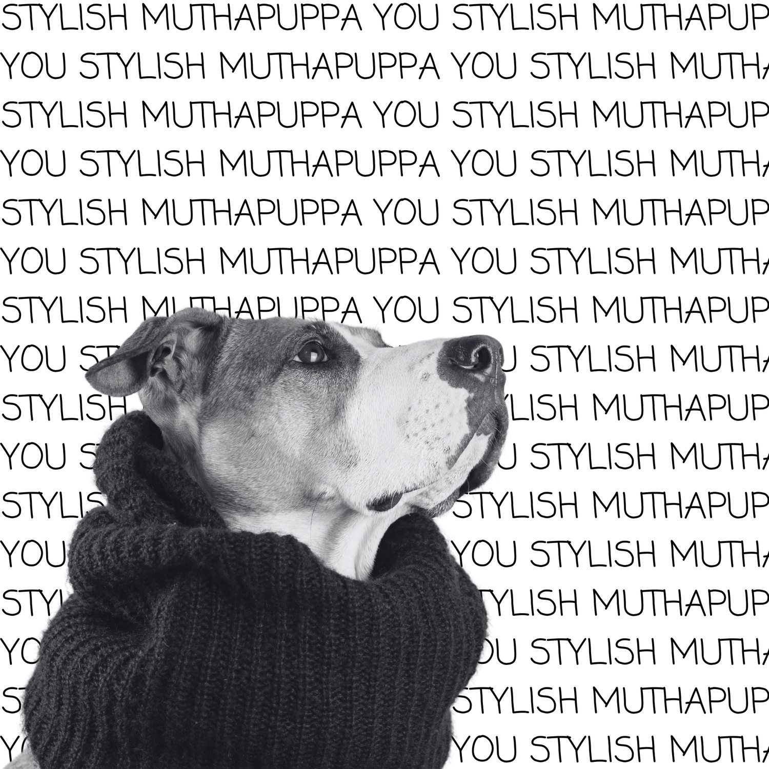 CLOTHING + ACCESSORIES