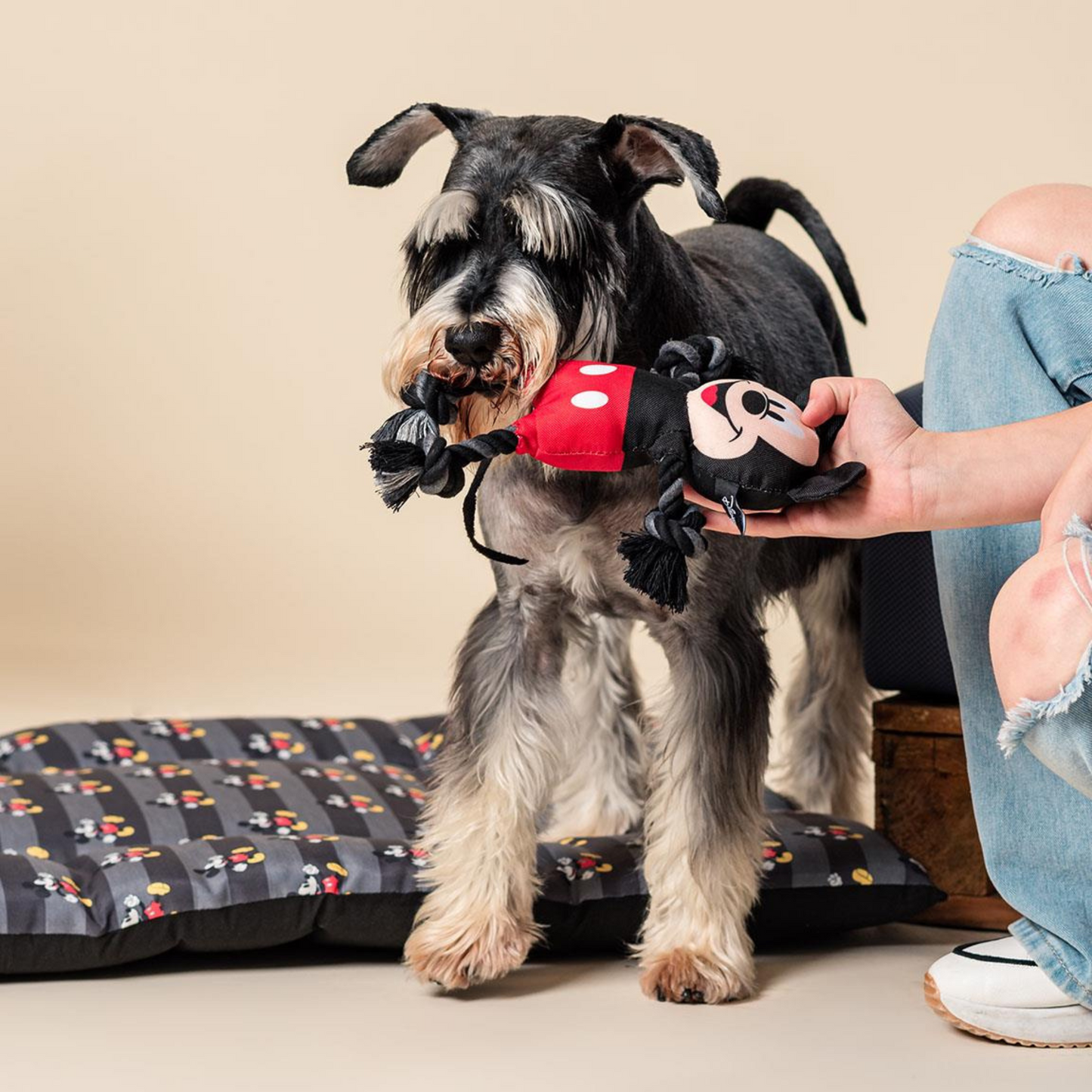 Mickey Mouse Dog Rope Toy Licensed By Disney muthapuppa MUTHAPUPPA