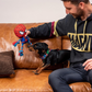 Spider-Man Dog Toy