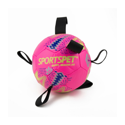 Sportspet Tab Football Dog Toy Available in Pink, Yellow & Sizes 2 and 4