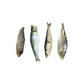 Nova Baltic Sprats, Large Crunchy 1kg