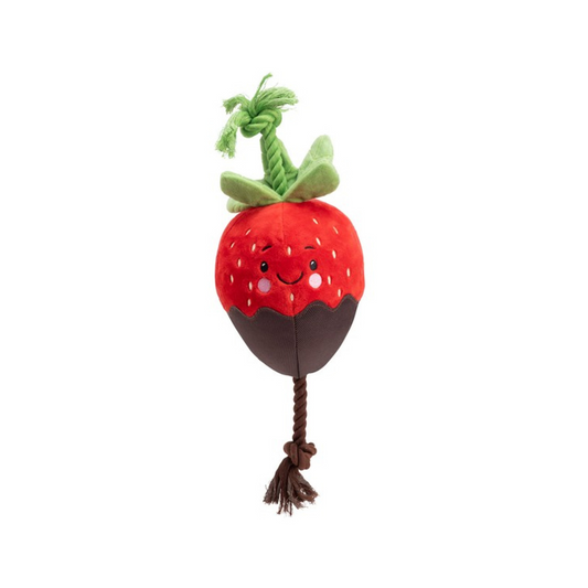 House of Paws Chocolate Covered Strawberry Dog Toy