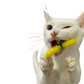 The Inventor Cat Dental Wand Starter Kit, For Cats!