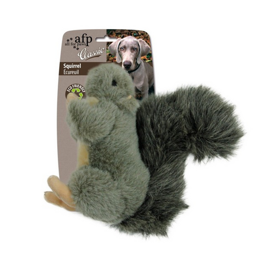 All For Paws Squirrel Dog Toy