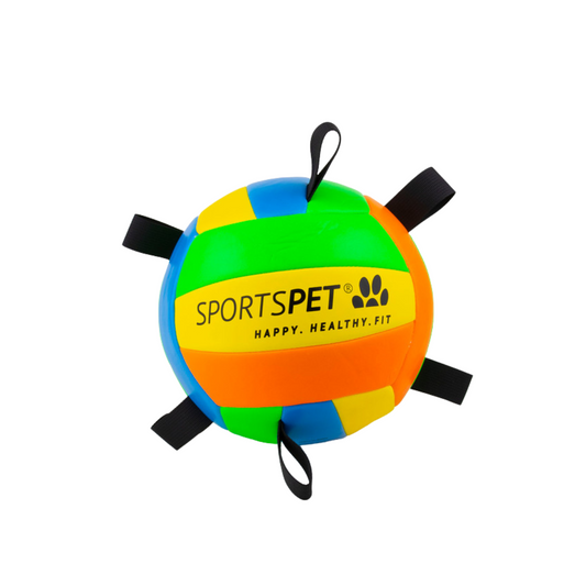 Volleyball Dog Toy, Soft Plush Ball, Available in Size 2 and 4