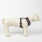 Harry Potter Reversible Dog Harness