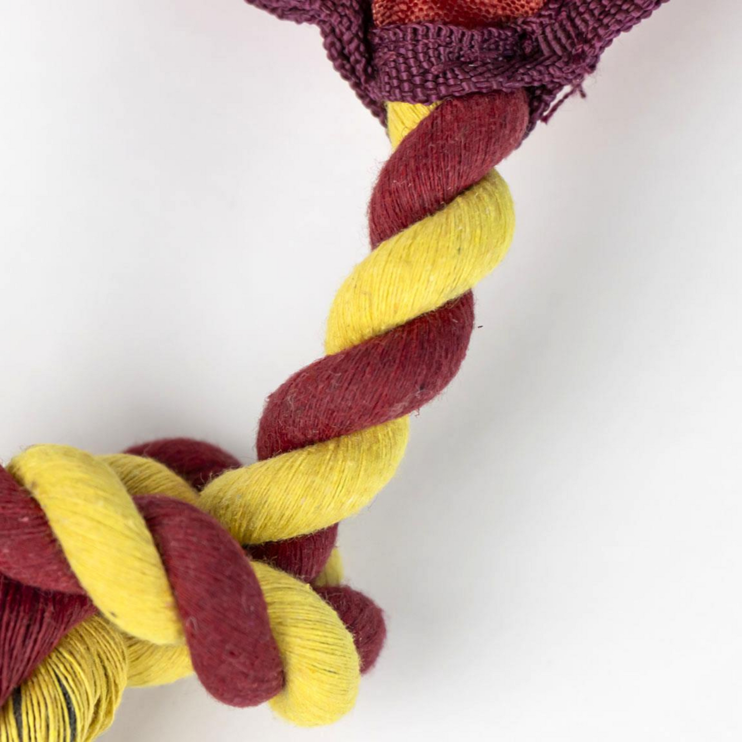 Harry Potter Dog Rope Toy, Gryffindor House