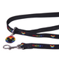 Disney Rainbow Lead