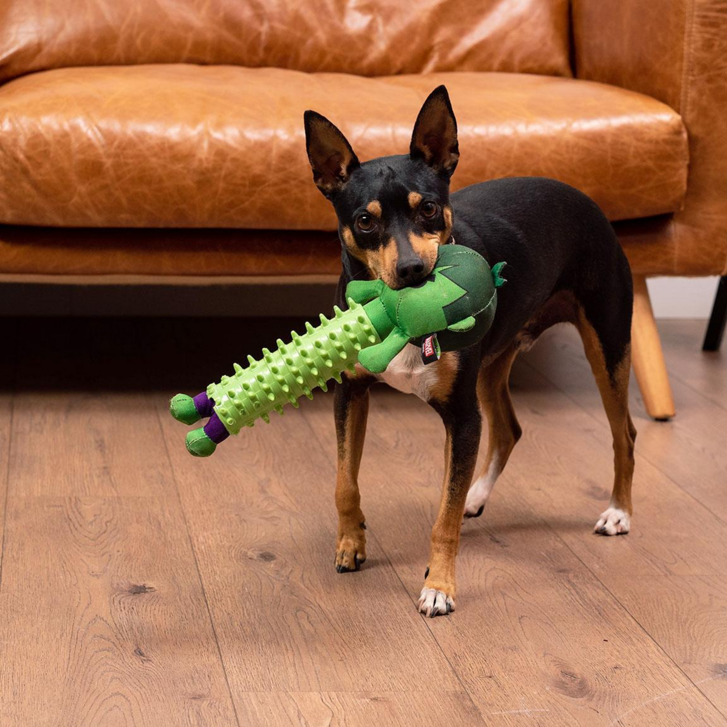 The Hulk Dog Toy