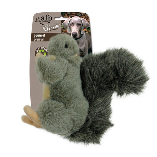 All For Paws Squirrel Dog Toy