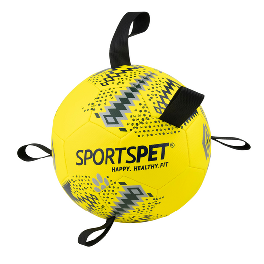 Sportspet Tab Football Dog Toy Available in Pink, Yellow & Sizes 2 and 4