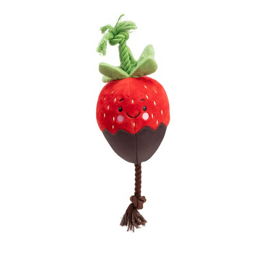 House of Paws Chocolate Covered Strawberry Dog Toy