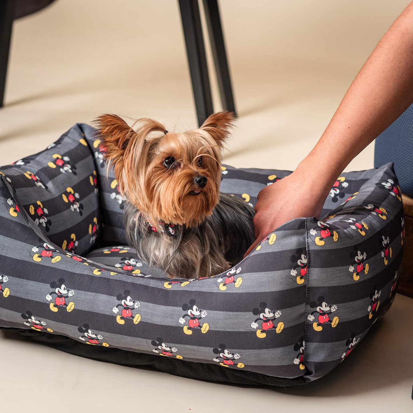 Mickey Mouse Dog Bed