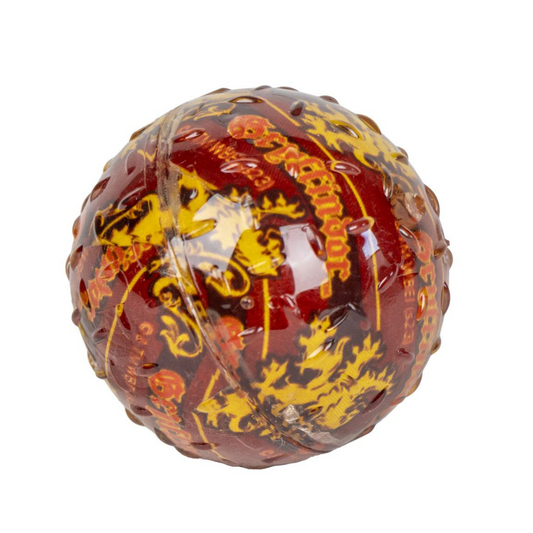 Harry Potter Squeaky Dog Ball Toy