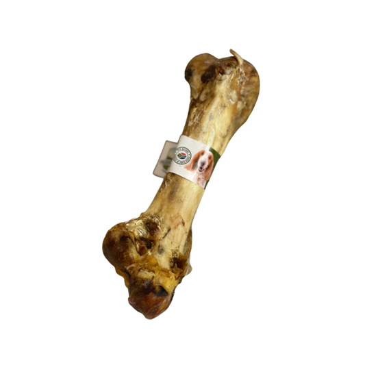 Paddock Farm Giant Ostrich Dino Bone
