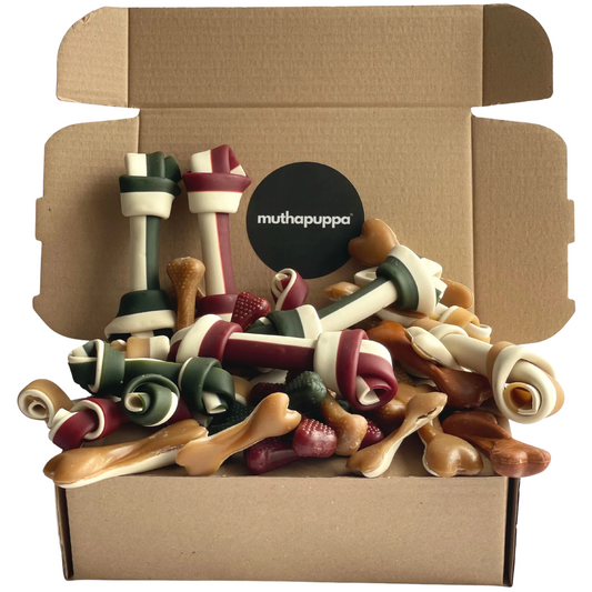 Funny Bones Box