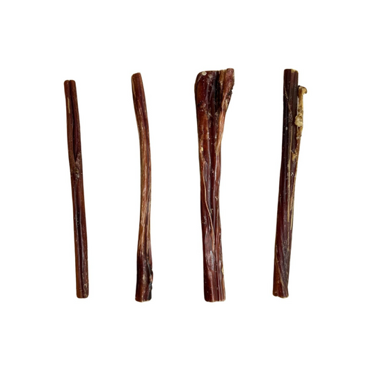 Bull Pizzles UK Made, 24cm, 25 in a pack