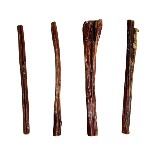 Bull Pizzles UK Made, 24cm, 25 in a pack