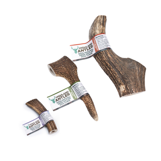 Highland Antler Deer Antler Dog Chews Available In Different Sizes